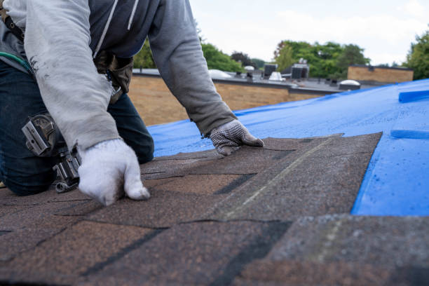 Best Roof Moss and Algae Removal  in Clarksville, IA